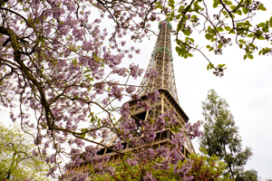 TorreEiffelTGV
