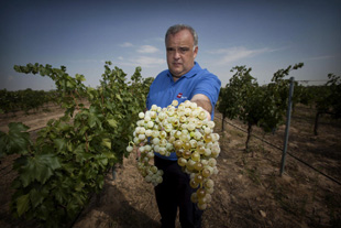 VinosdeMadrid2