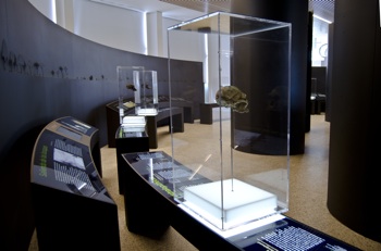 Atapuerca04