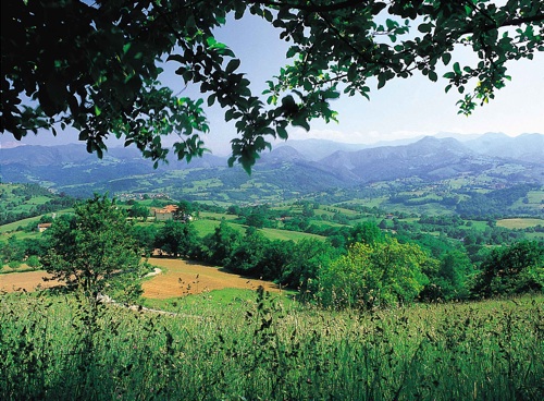 BerreaAsturias1