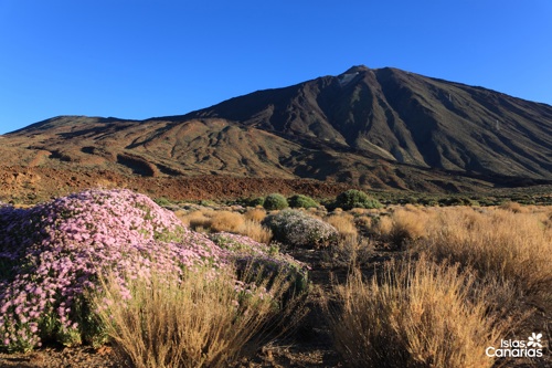 Canarias Tenerife Teide