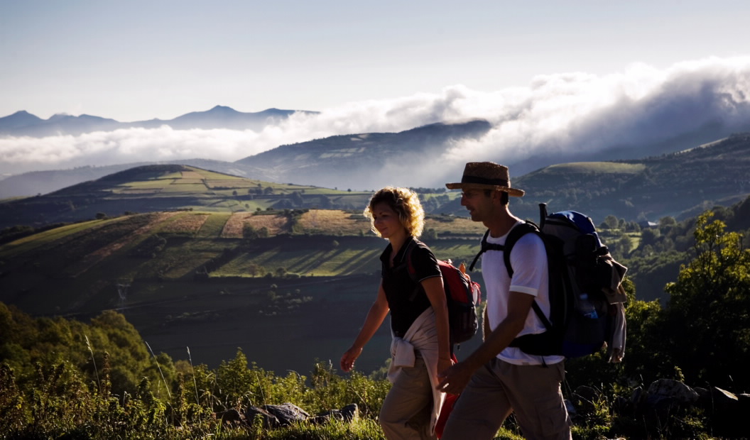 Galicia CaminoSantiago