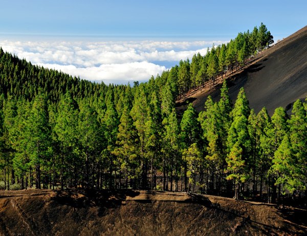 GranCanaria4