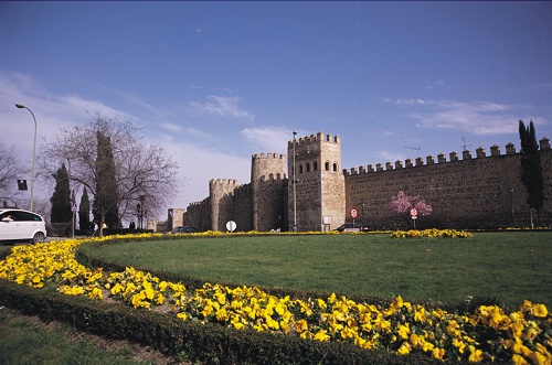 Toledo8