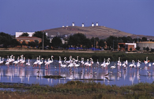 TurismoCLM1