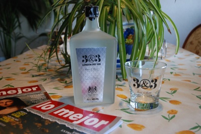 Ginebra1