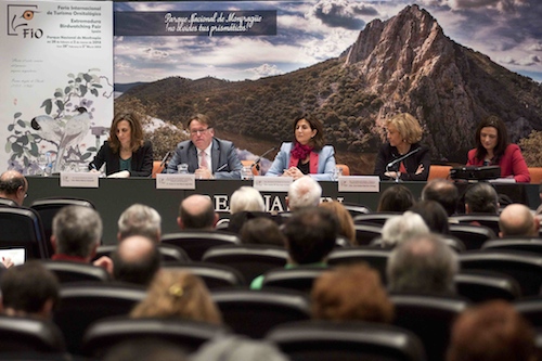 Fio Madrid-01