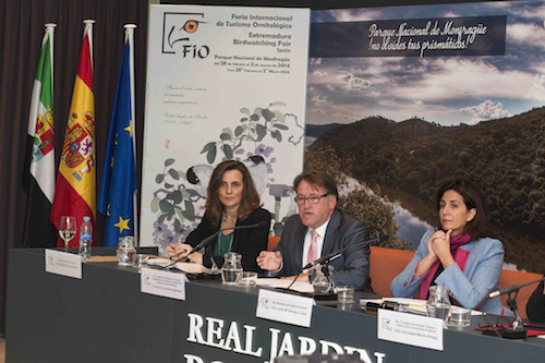Fio Madrid-2