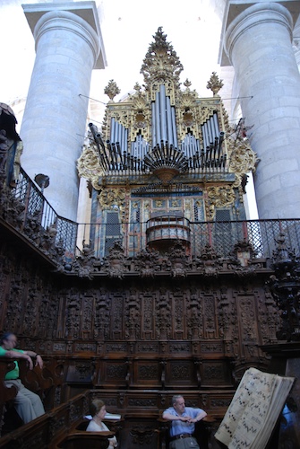 OrganoNava01