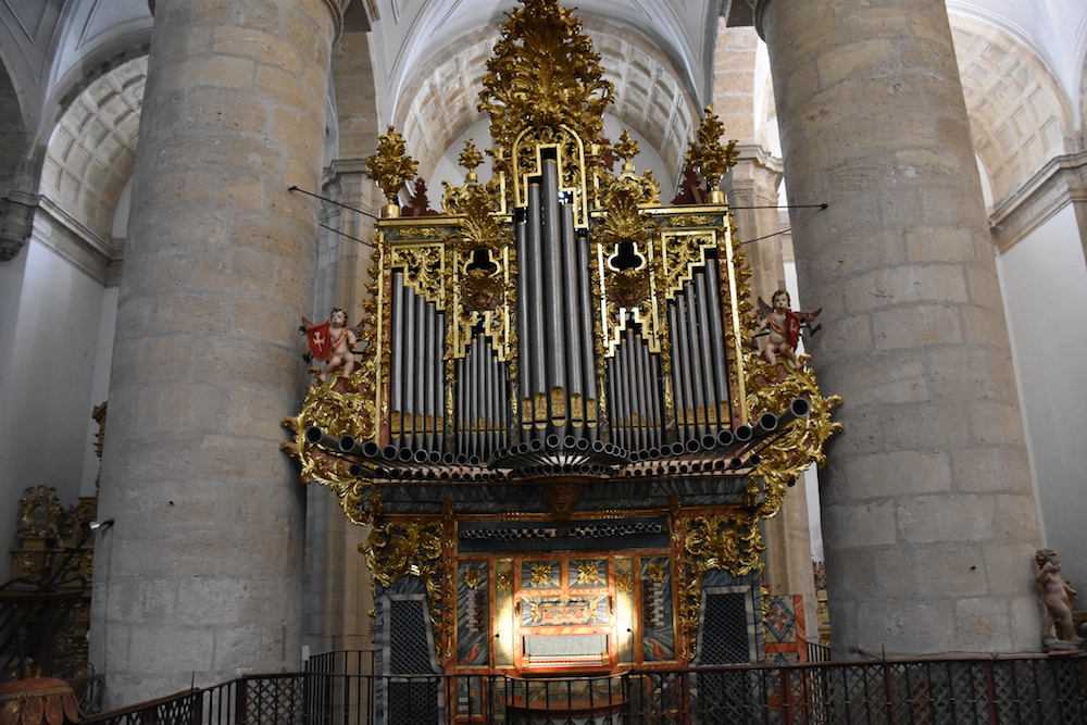 Organo Nava2